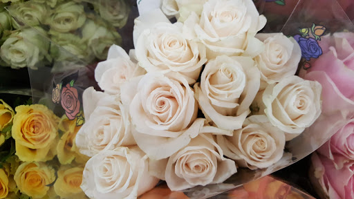 Supermarket «ALDI», reviews and photos, 1182 N Anderson Rd, Rock Hill, SC 29730, USA