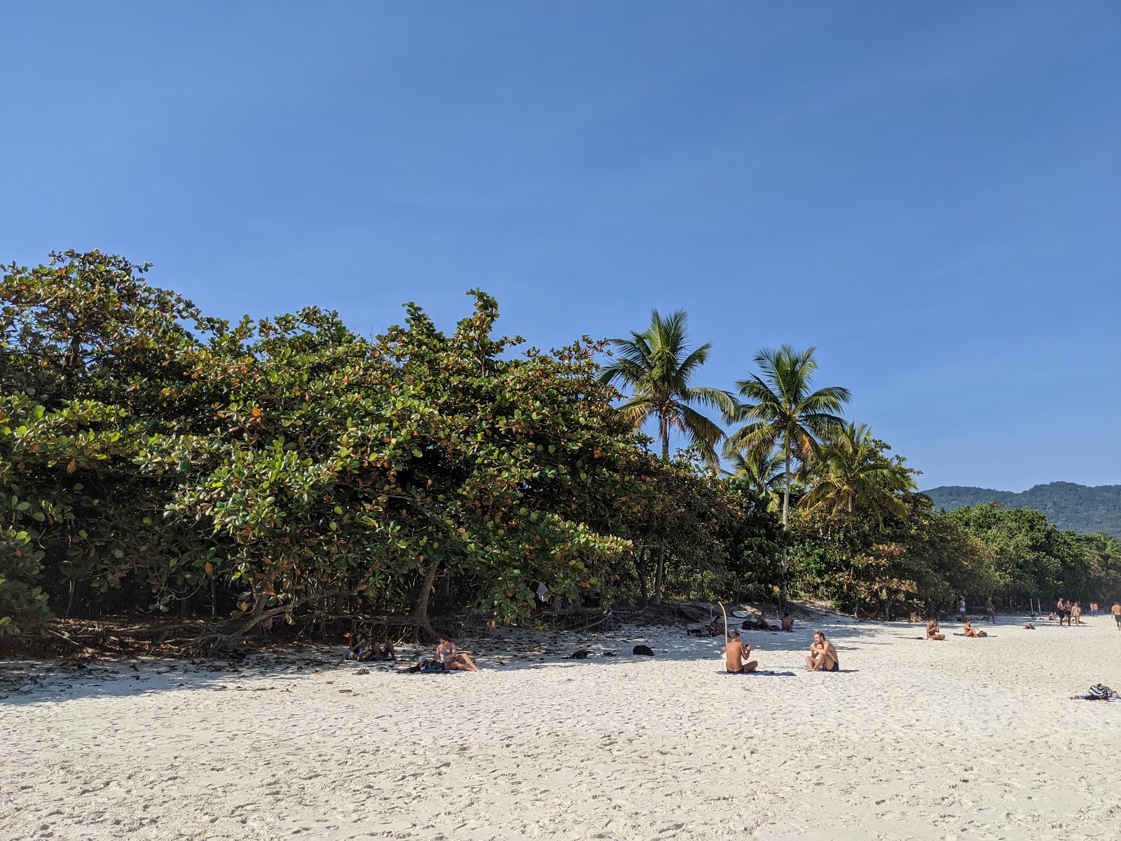 Fotografija Plaža Lopes Mendes nahaja se v naravnem okolju