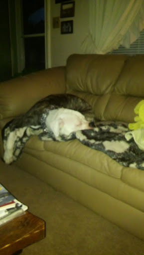 Donut Shop «Country Style Donuts», reviews and photos, 4300 Williamsburg Rd, Richmond, VA 23231, USA