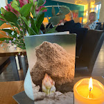 Photo n°1 de l'avis de Corinna.� fait le 02/06/2023 à 19:17 sur le  Restaurant Landwirtschaft à Willich