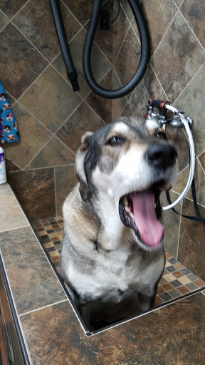 Pet Supply Store «Pet Valu Pet Store», reviews and photos, 2702 Smithville Rd, Dayton, OH 45420, USA