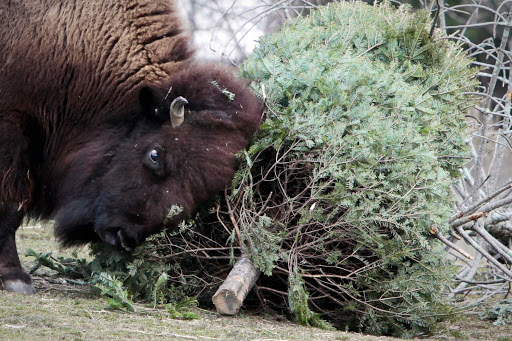 Florist «Metropolitan Plant and Flower Exchange», reviews and photos, 471 NJ-10, West Orange, NJ 07052, USA