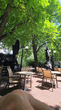 Atmosphère du Restaurant français Restaurant la Terrasse des Marronniers à Gréoux-les-Bains - n°15