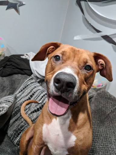 Pet Supply Store «Petco Animal Supplies», reviews and photos, 753 53rd Ave NE, Fridley, MN 55421, USA