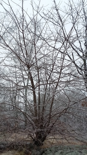 Park «Webb Park», reviews and photos, 58 Summit St, Weymouth, MA 02188, USA