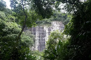 Parque Estadual Xixová Japuí - Trilha do Curtume image