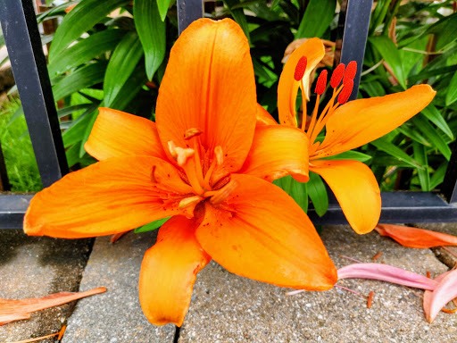 Memorial Park «John Russell Wheeler Park», reviews and photos, US-1, Linden, NJ 07036, USA