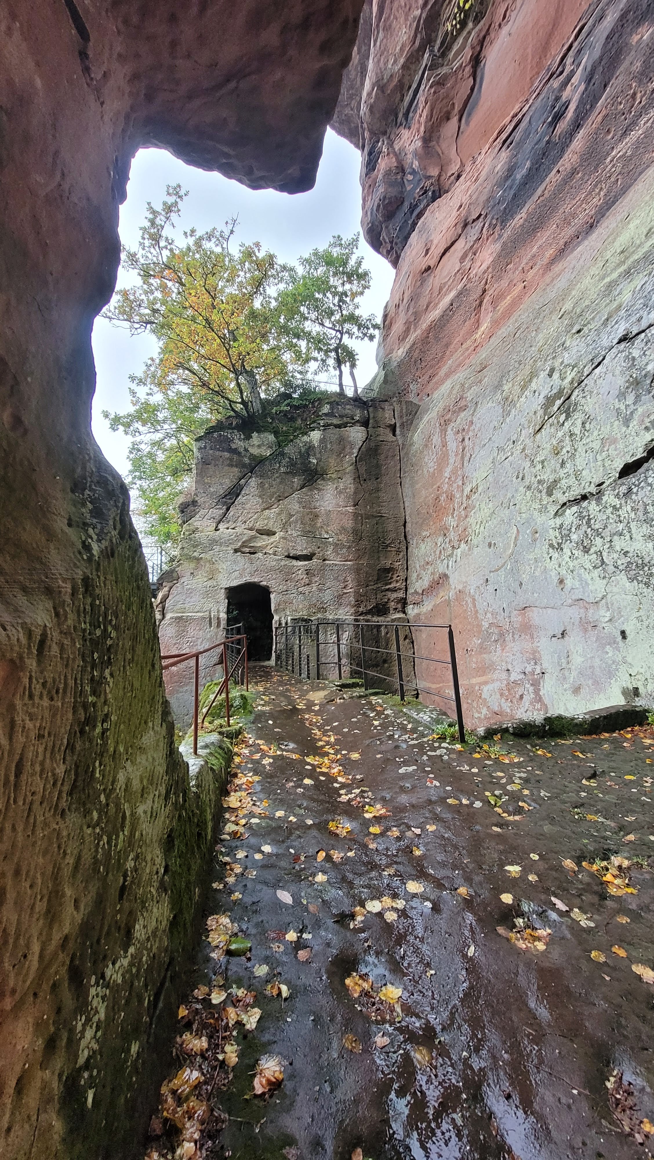 Photo n° 6 de l'avis de Verena.a fait le 31/10/2023 à 09:18