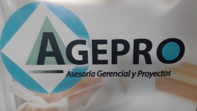 Opiniones de AGEPRO Asesoría Gerencial y Proyectos en Bahía de Caráquez - Oficina de empresa