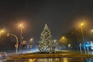 Lübecker Weihnachtsbaum image