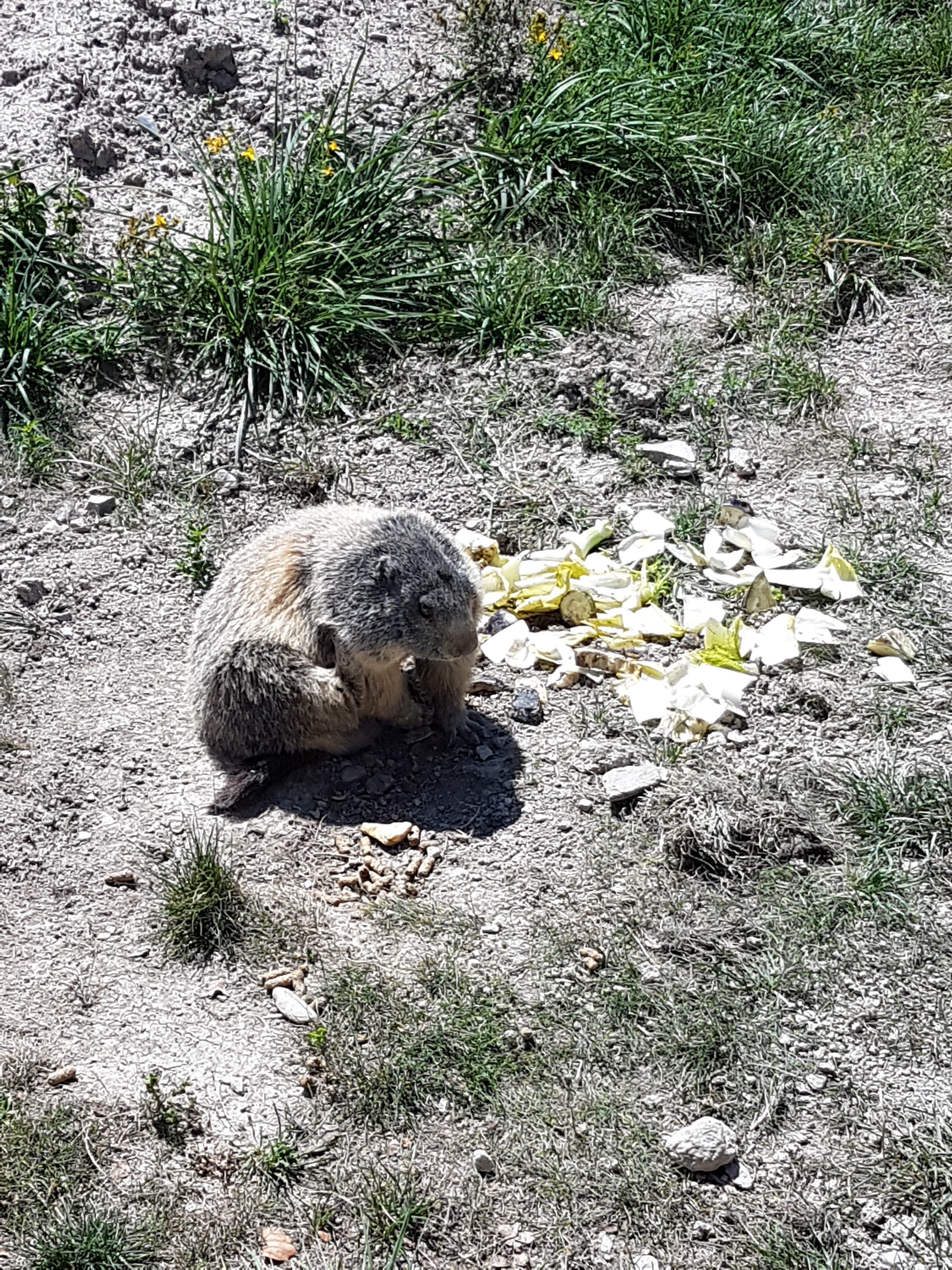 Photo n° 23 de l'avis de Romain.o fait le 17/08/2017 à 11:56