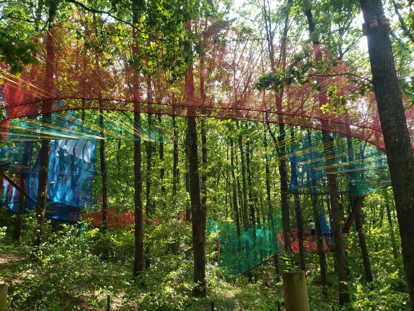 Photo n° 15 de l'avis de YetJ1402. fait le 16/07/2023 à 15:31