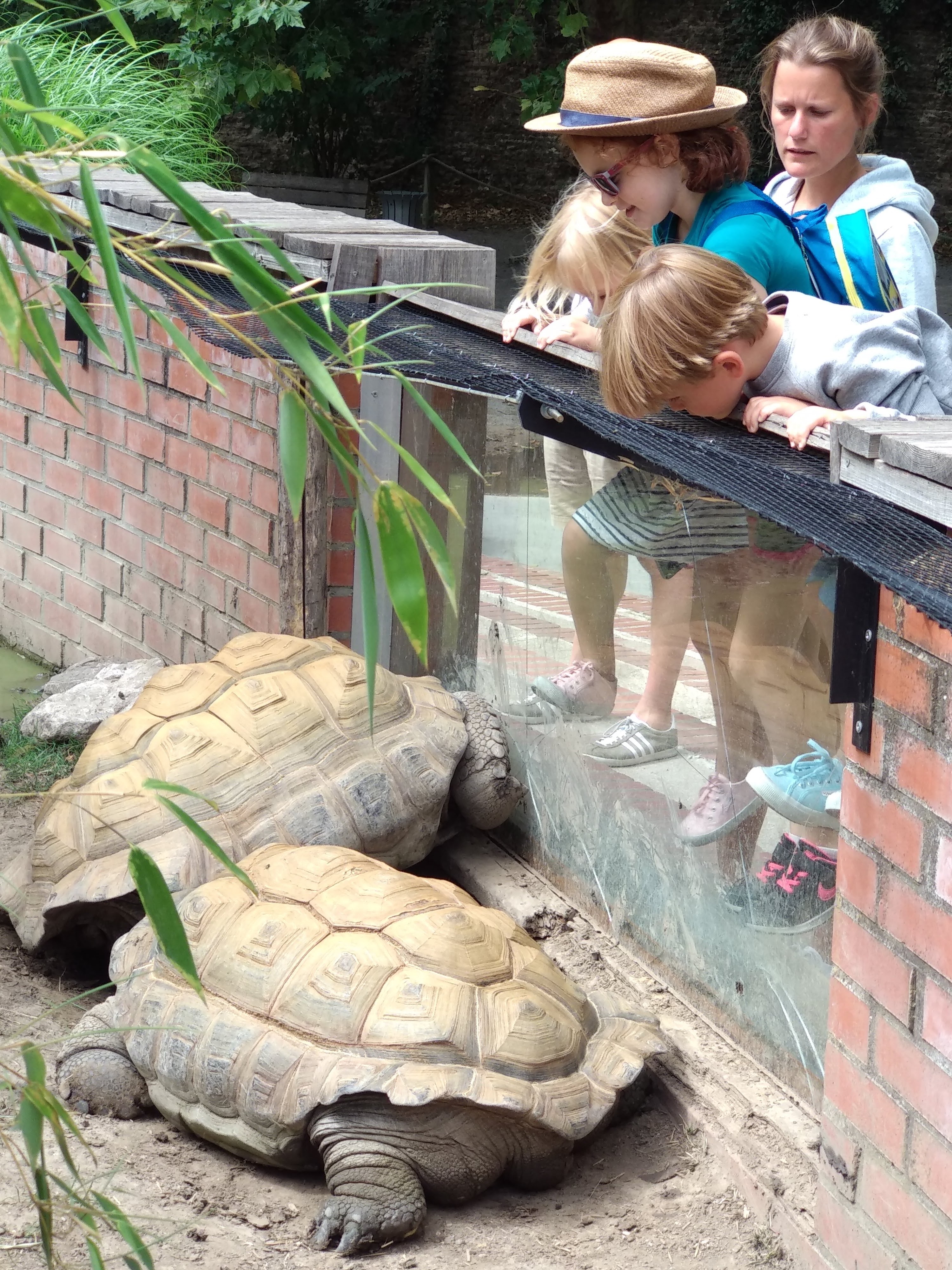 Photo n° 6 de l'avis de Xavier. fait le 10/08/2018 à 16:35