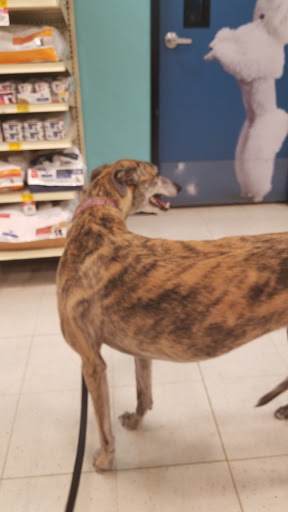Pet Supply Store «PetSmart», reviews and photos, 105 Wagner Rd, Monaca, PA 15061, USA