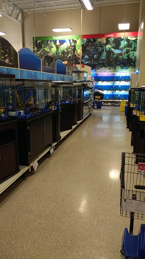 Pet Supply Store «PetSmart», reviews and photos, 534 US-441, Lady Lake, FL 32159, USA