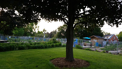 Maple Community Garden
