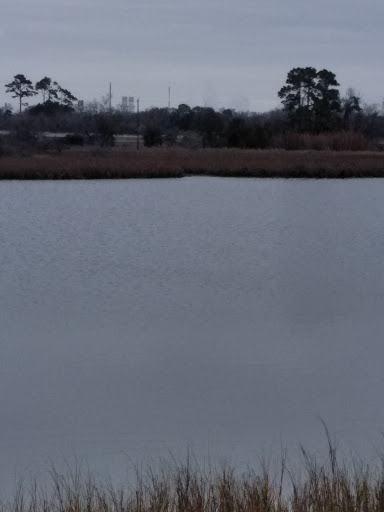 Community Center «Melrose Park», reviews and photos, 1001 Canino Rd, Houston, TX 77076, USA