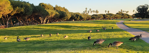 Golf Course «Alondra Golf Course, Inc.», reviews and photos, 16400 Prairie Ave, Lawndale, CA 90260, USA
