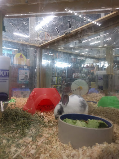 Pet Supply Store «Pet Supermarket», reviews and photos, 14044 Grant Rd Ste 200, Cypress, TX 77429, USA