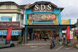 SDS image