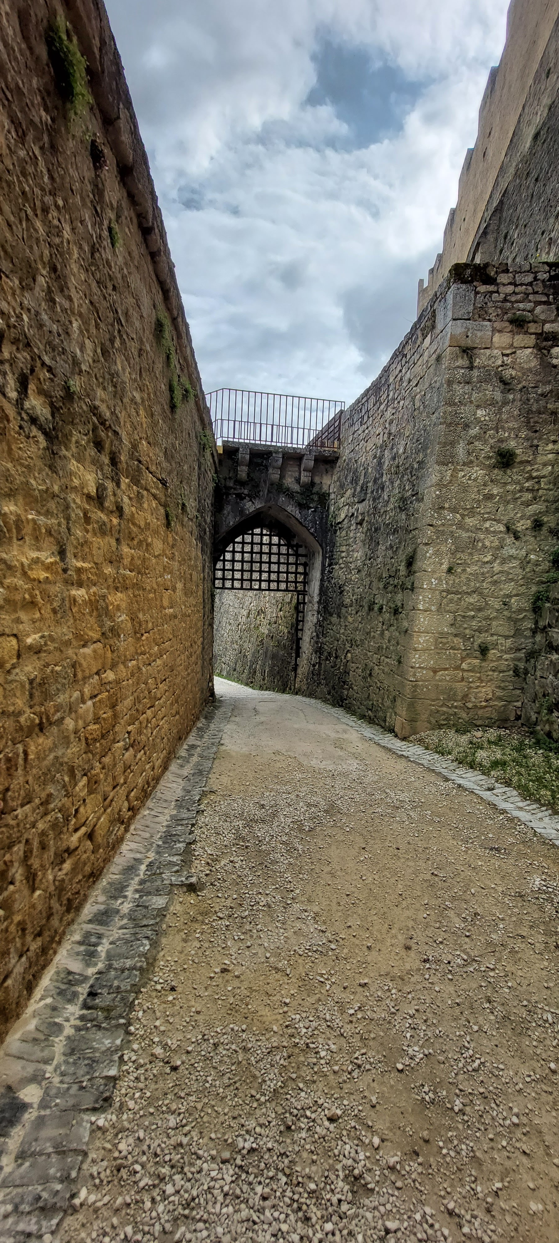 Photo n° 41 de l'avis de DIDIER.S fait le 07/04/2023 à 14:13