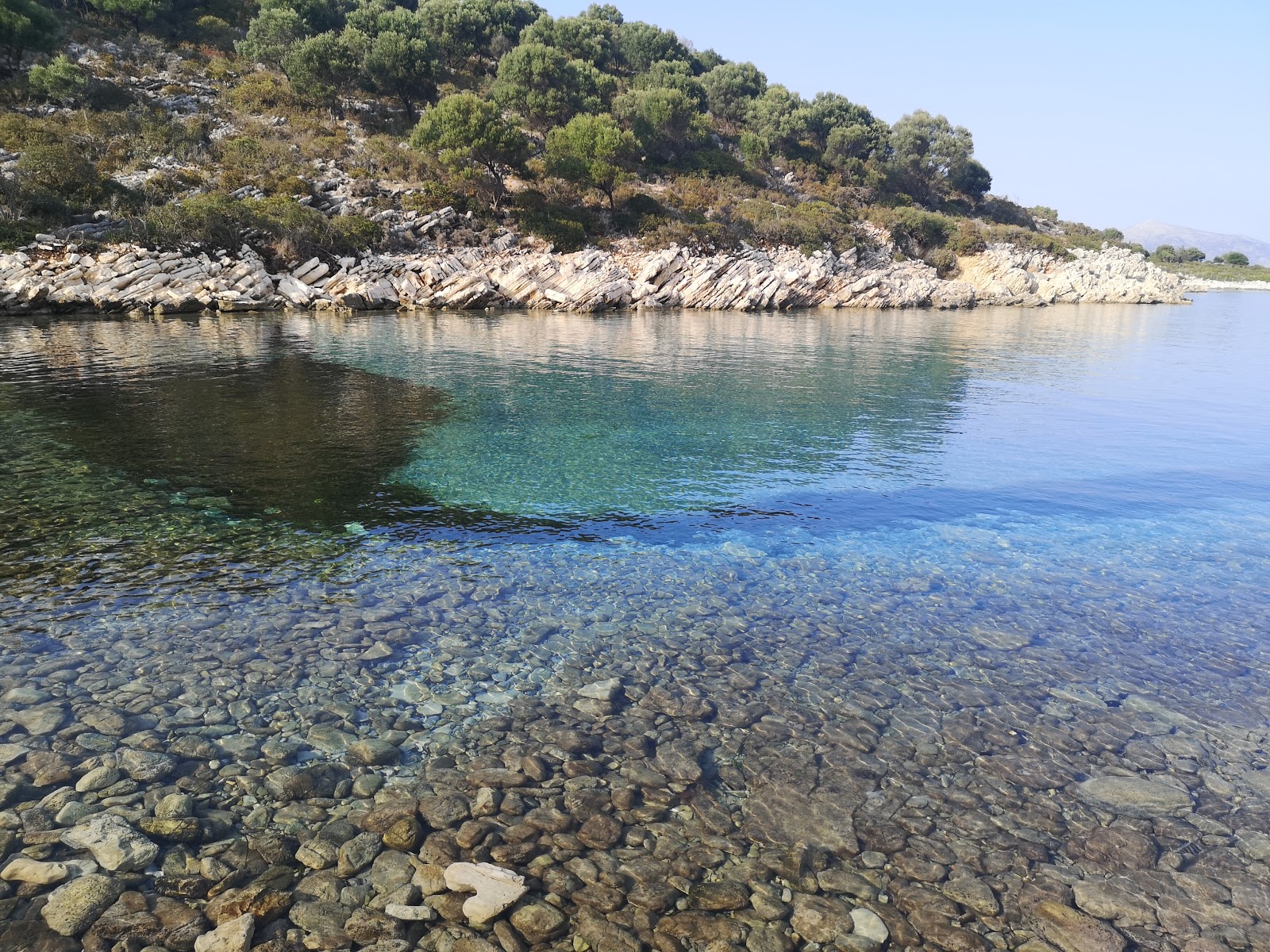 Foto de Pisina beach com água verde clara superfície