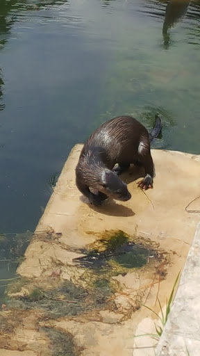 Park «Wall Springs Park», reviews and photos, 3725 Desoto Blvd, Palm Harbor, FL 34683, USA