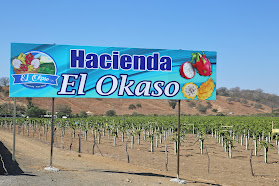 Hacienda El Okaso