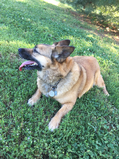 Pet Supply Store «Wags & Whiskers - West Nashville», reviews and photos, 3731 Charlotte Ave, Nashville, TN 37209, USA