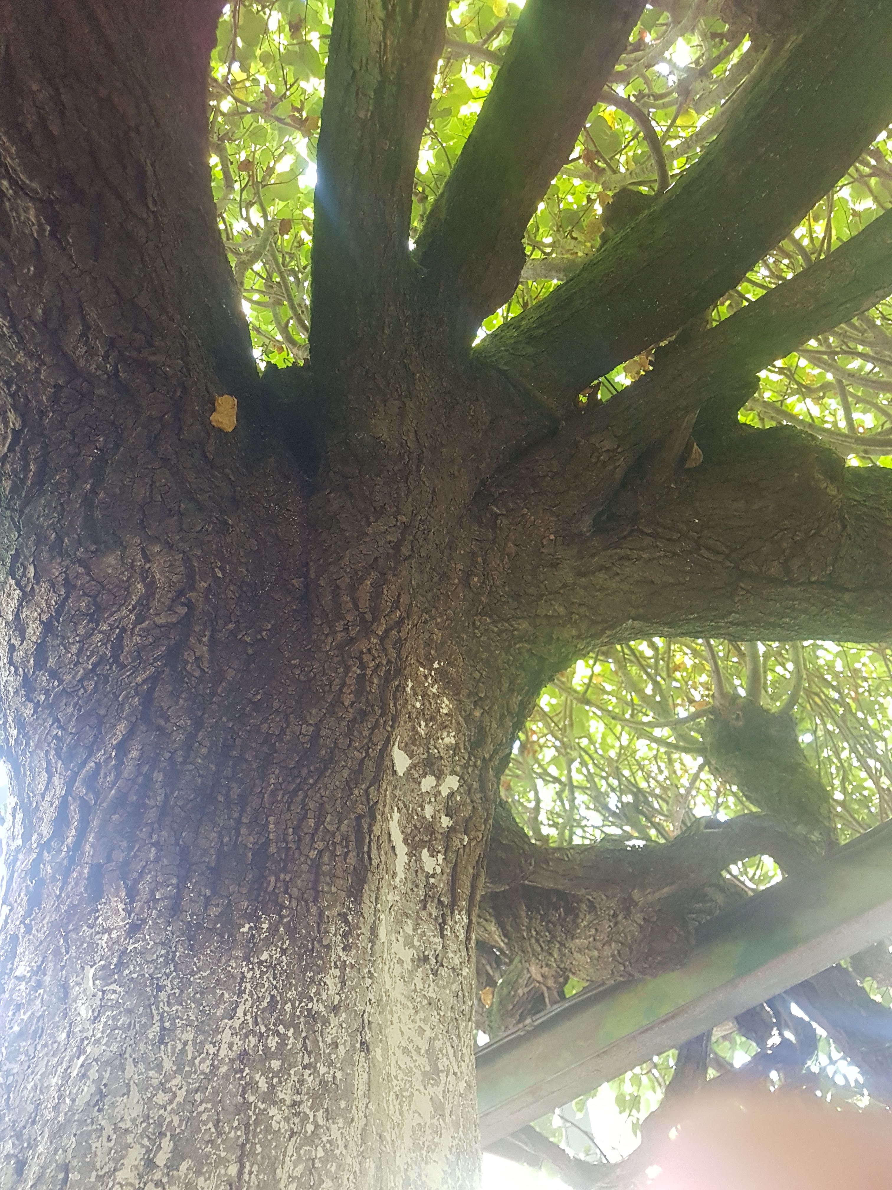 Photo n° 15 de l'avis de Thomas.a fait le 20/08/2020 à 16:28