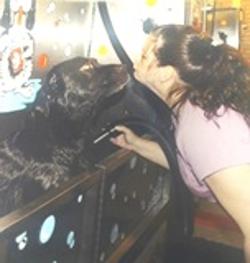 Pet Groomer «Belly scRubs Self Service Pet Wash», reviews and photos, 119 WV-34 #1, Hurricane, WV 25526, USA