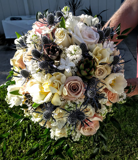 Florist «Alamo Plants & Petals», reviews and photos, 119 W Sunset Rd, San Antonio, TX 78209, USA