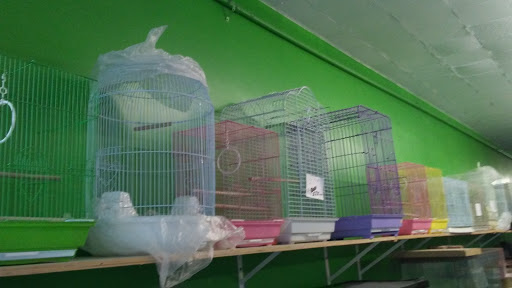 Pet Store «Guero Pet Shop», reviews and photos, 11642 Atlantic Ave, Lynwood, CA 90262, USA