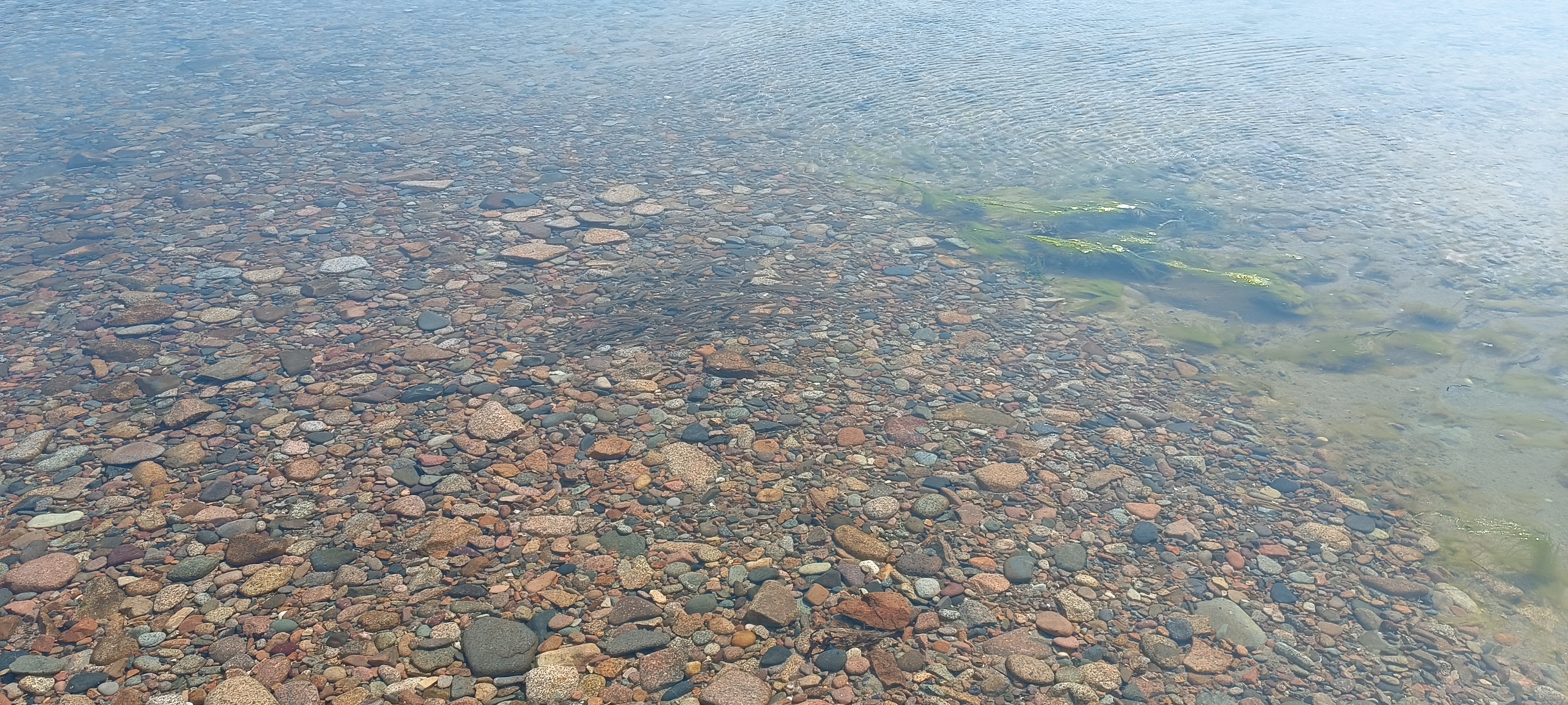 Photo n° 3 de l'avis de Patrice.e fait le 15/06/2023 à 20:15