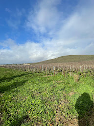 Photo n°29 de Calsis Restaurant à Aÿ-Champagne ()