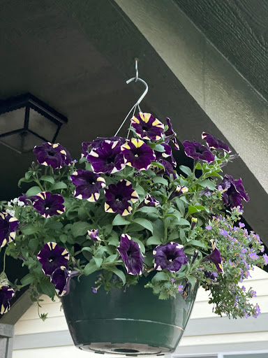 Farm «Pope Farms Produce & Garden Center», reviews and photos, 6501 W 28th St, Greeley, CO 80634, USA