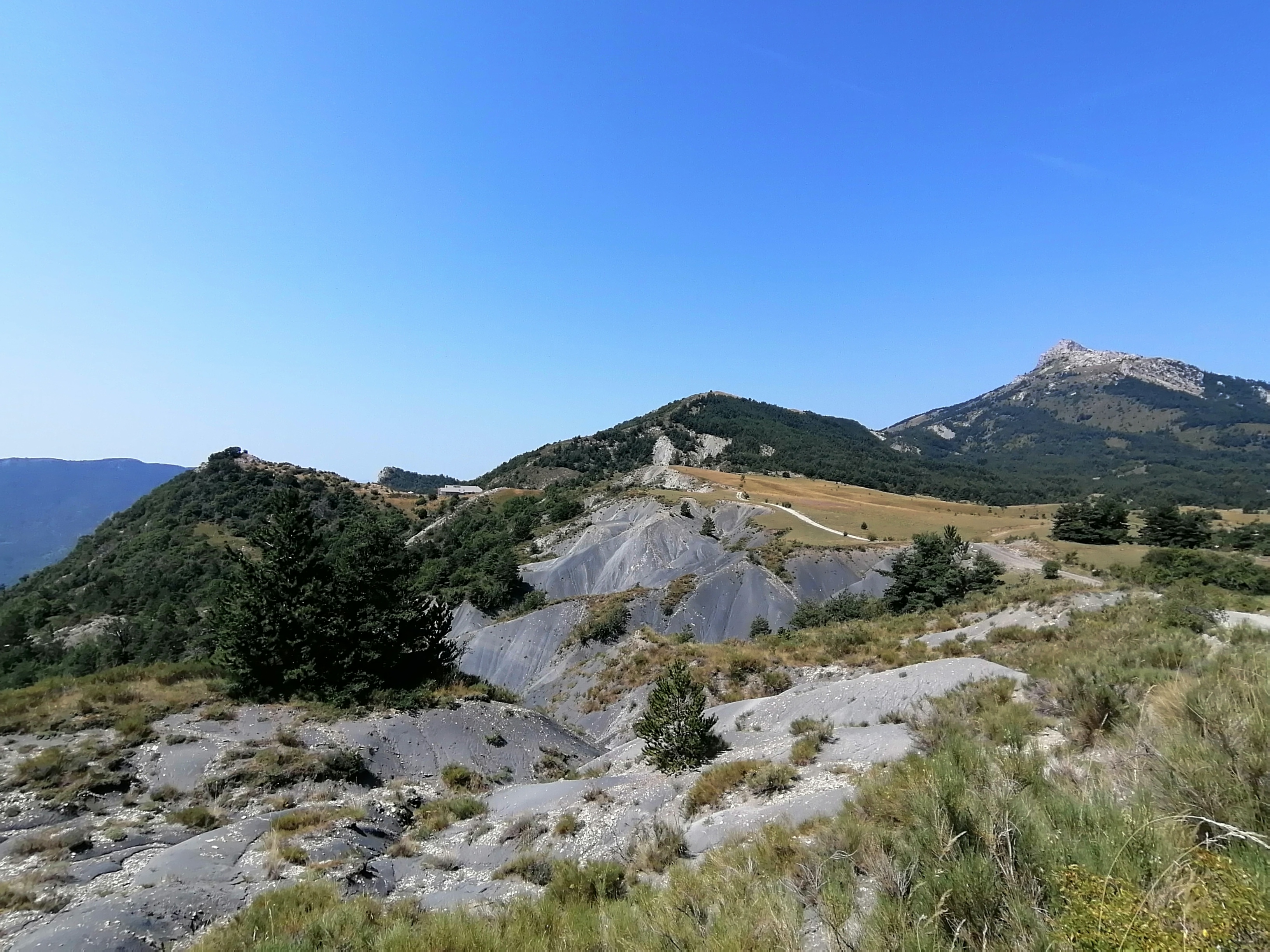 Photo n° 2 de l'avis de Remi.o fait le 23/07/2023 à 18:31