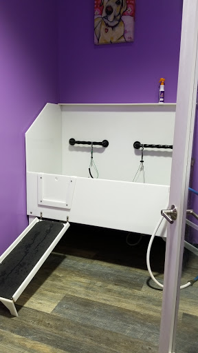 Pet Supply Store «Quality Pet Market», reviews and photos, 5543 Mahoning Ave, Austintown, OH 44515, USA