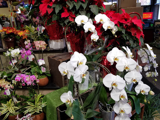 Supermarket «Nob Hill Foods», reviews and photos, 611 Trancas St, Napa, CA 94558, USA