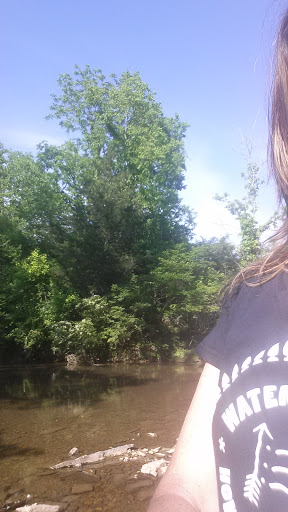 Tourist Attraction «Fontanel», reviews and photos, 4125 Whites Creek Pike, Whites Creek, TN 37189, USA