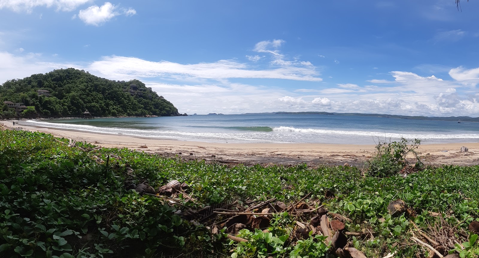 Playa El Tamarindo'in fotoğrafı vahşi alan