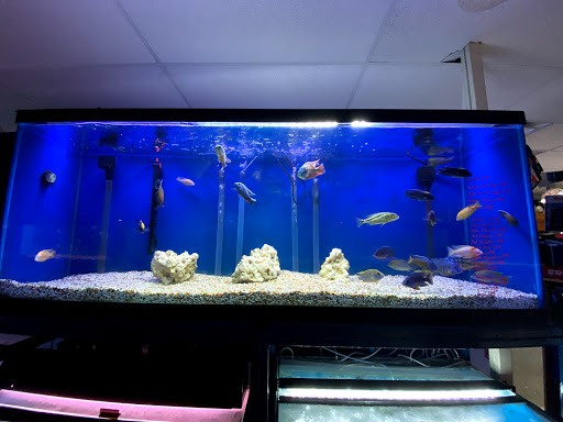 Tropical Fish Store «About Fish Inc», reviews and photos, 7236 N Federal Blvd # 700, Westminster, CO 80030, USA