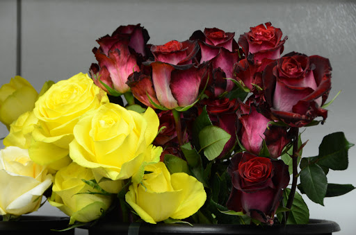 Florist «Bowden Flowers & Gifts», reviews and photos, 313 S 00 EW, Kokomo, IN 46902, USA