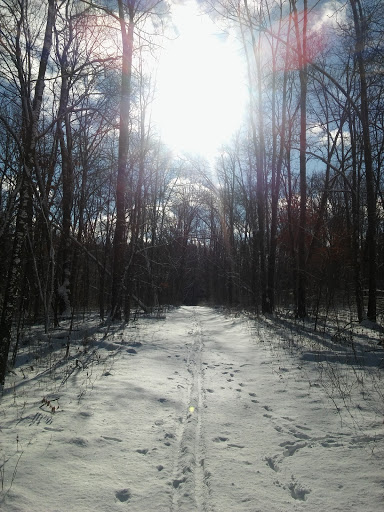 Nature Preserve «Leonard Preserve», reviews and photos, N Union St, Manchester, MI 48158, USA