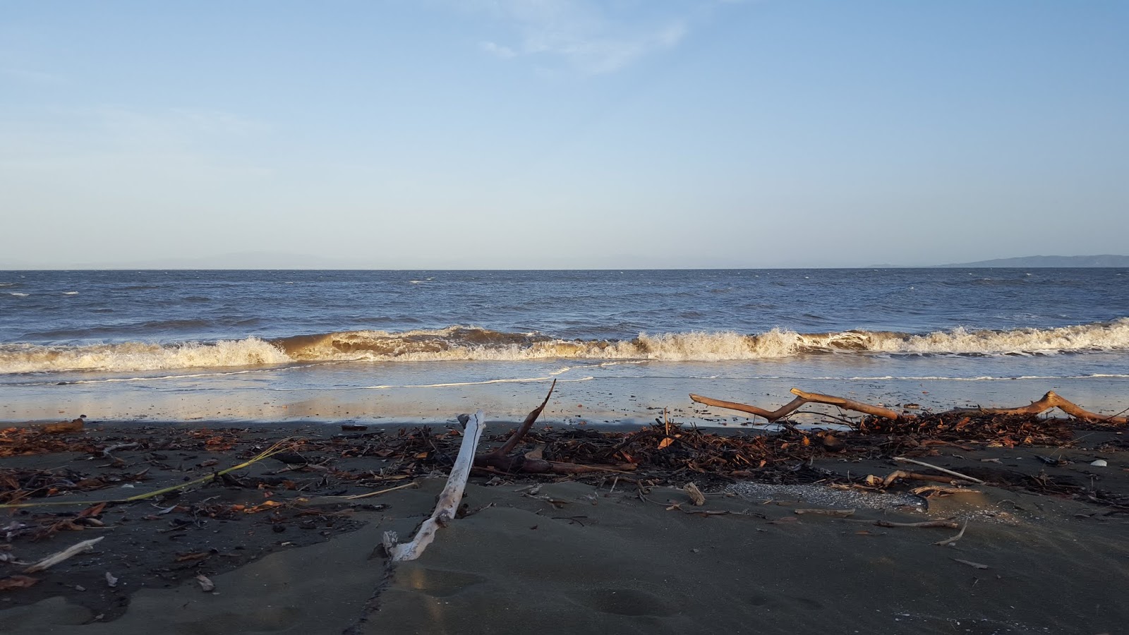 Foto di Lagartero Beach con molto pulito livello di pulizia