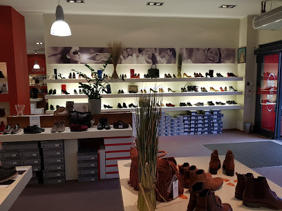 Palazzo Shoes