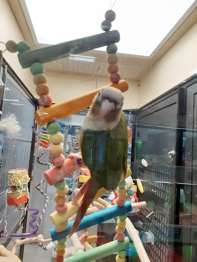 Pet Supply Store «PetSmart», reviews and photos, 1183 Berkshire Blvd, Wyomissing, PA 19610, USA