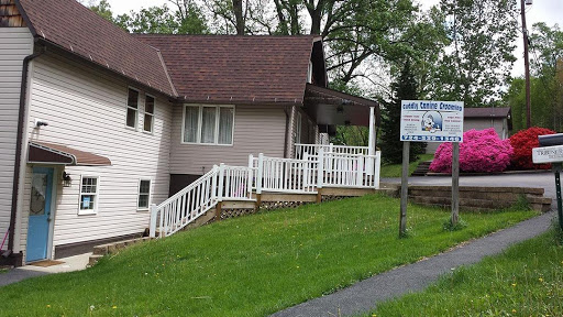Cuddly Canine Grooming