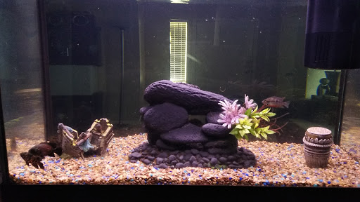 Pet Supply Store «Pet Supplies Plus», reviews and photos, 7041 Barker Cypress Rd, Cypress, TX 77433, USA