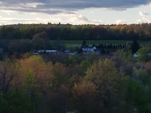 Golf Course «Grandview Farms Golf Course», reviews and photos, 400 Hartwell Rd, Berkshire, NY 13736, USA